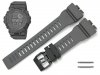 CASIO GBD-800UC-8 oryginalny pasek 16 mm 10584497